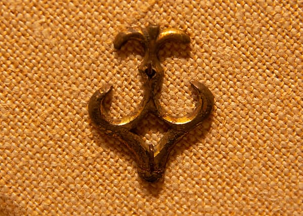 Horse Harness