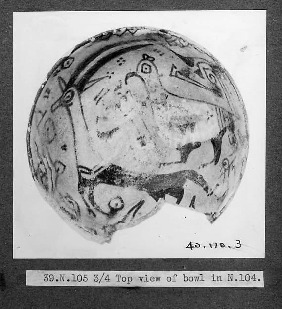 Dish