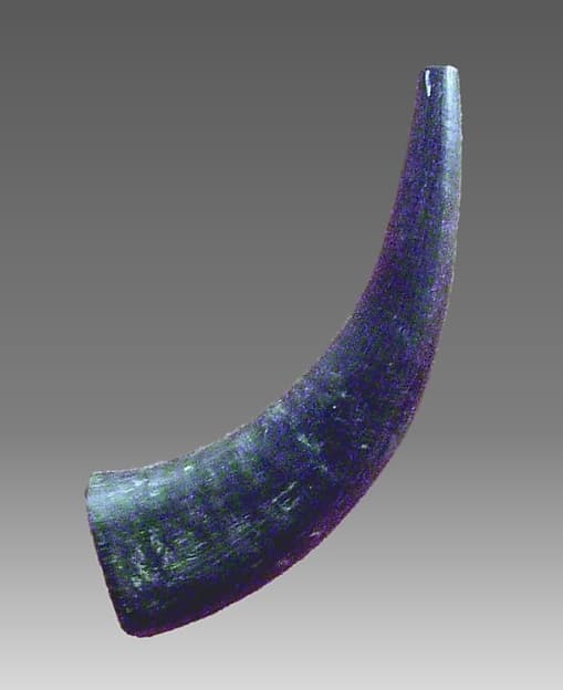 Horn