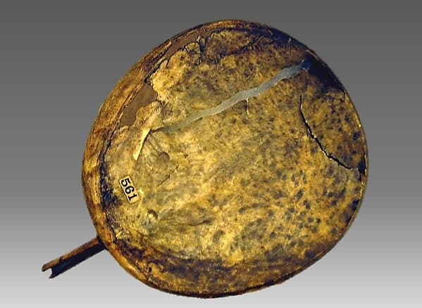 Kelyaut (frame drum), by Northern Alaskan Eskimo; Family: Eskimavan