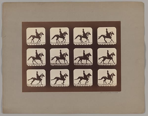 Attitudes of Animals in Motion, by Eadweard Muybridge