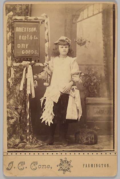 [Merchants' Carnival Portrait: Robertson Bros & Co Dry Goods, Farmington, Missouri], by J. C. Cone