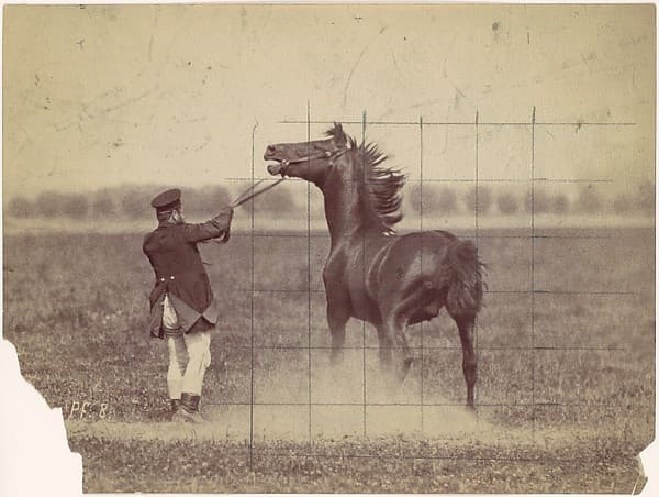 Horse, by Ottomar Anschütz