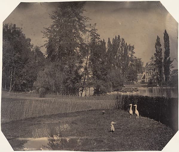 [Heron Pond, Zoological Gardens, Brussels], by Louis-Pierre-Théophile Dubois de Nehaut