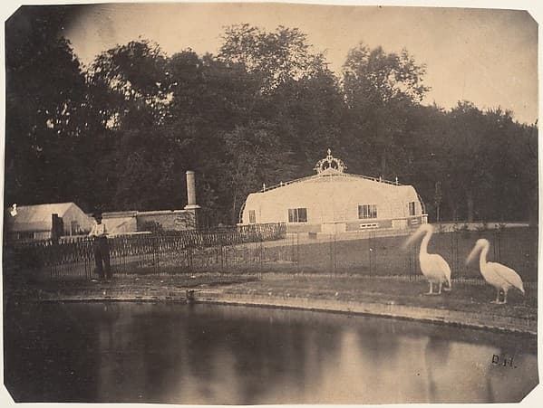 [The Pelicans and Greenhouses, Zoological Gardens, Brussels], by Louis-Pierre-Théophile Dubois de Nehaut