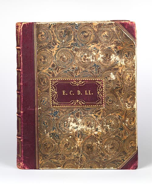[Emma Charlotte Dillwyn Llewelyn's Album], by John Dillwyn Llewelyn