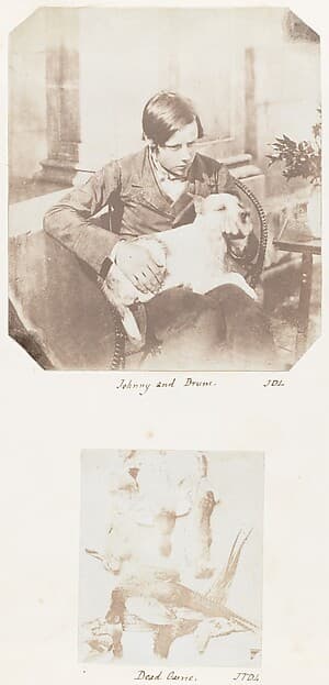 Johnny and Drum; Dead Game, by John Dillwyn Llewelyn