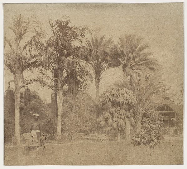 [Gardens, Government House, Allahabad], by John Constantine Stanley