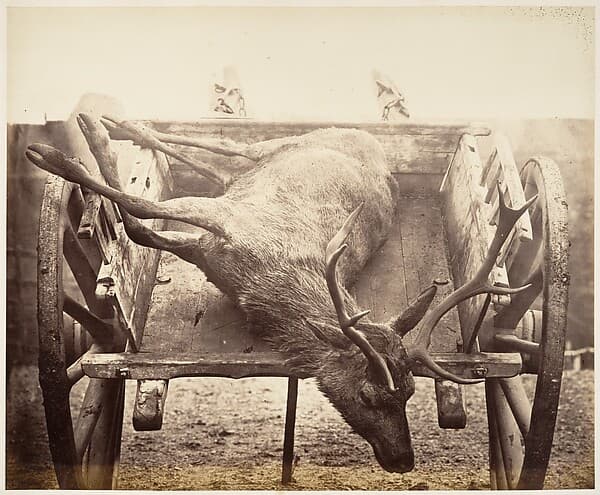 [Stag in Cart], by Horatio Ross
