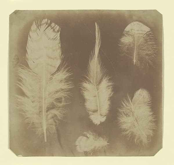 [Chicken Feathers], by Nevil Story Maskelyne