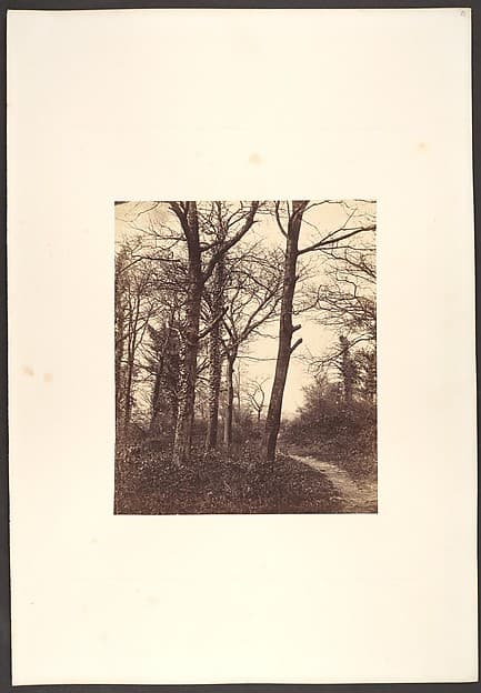 Winter, by Charles Conway