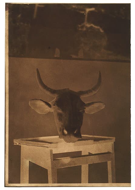 [Still Life], by Louis-Rémy Robert