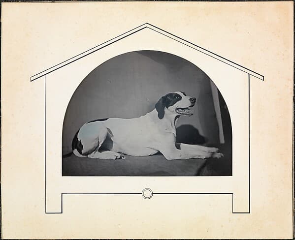 [Dog], by Louis-Auguste Bisson