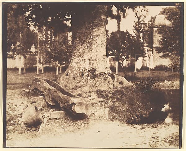 [The Large Tree at La Verrerie, Romesnil], by Louis-Rémy Robert