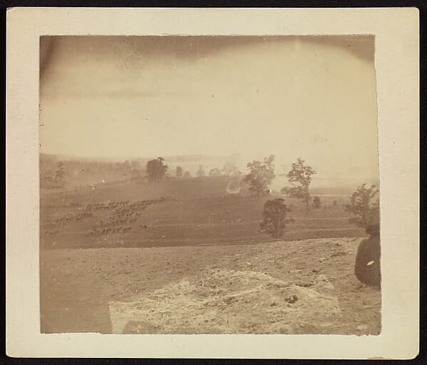 [Antietam Battlefield], by Alexander Gardner