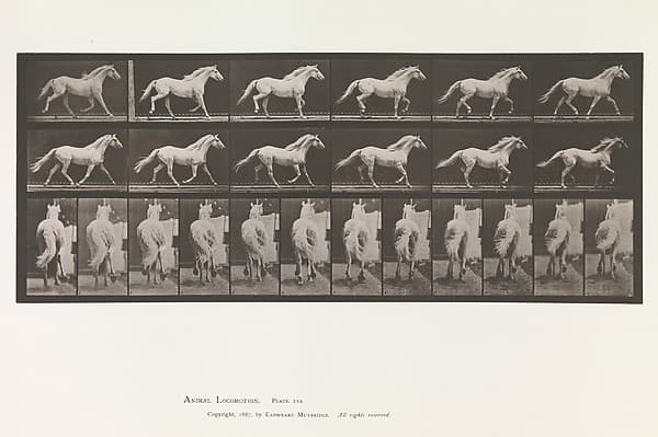 Animal Locomotion. An Electro-Photographic Investigation of Consecutive Phases of Animal Movements. Commenced 1872 - Completed 1885. Volume IX, Horses, by Eadweard Muybridge