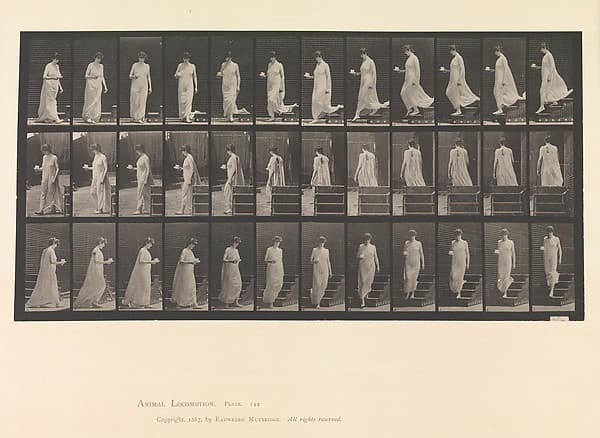 Animal Locomotion. An Electro-Photographic Investigation... of Animal Movements. Commenced 1872 - Completed 1885. Volume VI, Woman (Semi-Nude and Transparent Drapery) Children, by Eadweard Muybridge