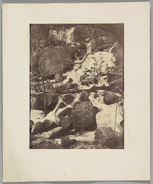 [Trees and Waterfalls], by Charles Nègre