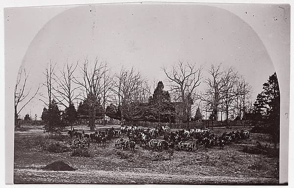 [Cache of Cannon]. Brady album, p. 123, by Unknown