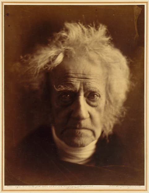 Sir John Herschel, by Julia Margaret Cameron