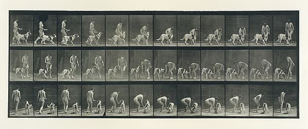 Animal Locomotion. An Electro-Photographic Investigation of Consecutive Phases of Animal Movements. Commenced 1872 - Completed 1885. Volume IV, Women (Nude), by Eadweard Muybridge