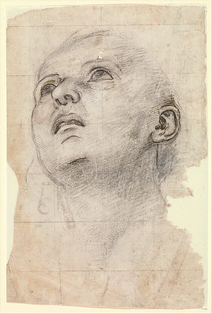 Study of the Head of a Youth Gazing Upward, by Perugino (Pietro di Cristoforo Vannucci)