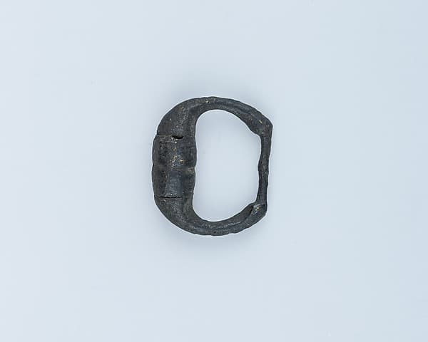 Buckle Loop