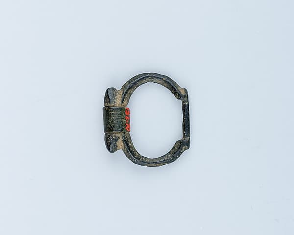 Buckle Loop