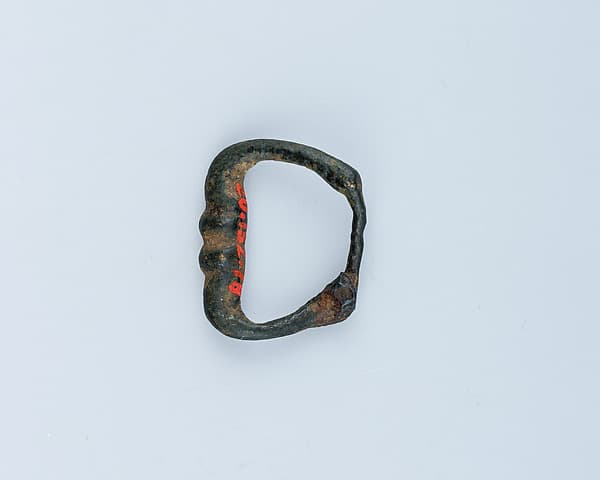 Buckle Loop