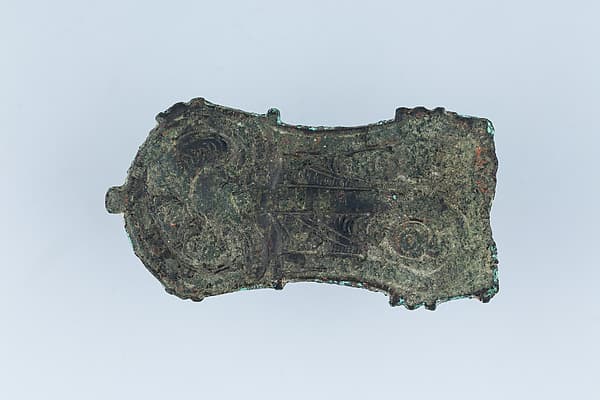 Buckle Shank