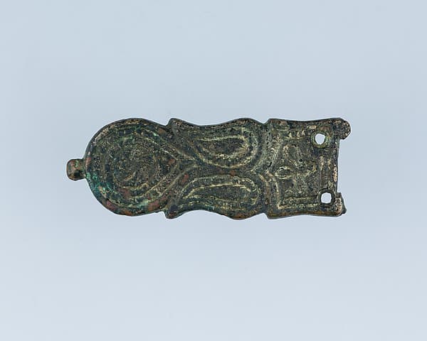 Buckle Shank