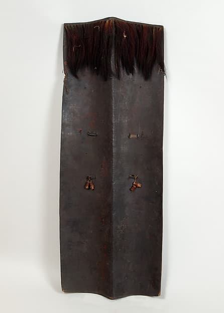 Shield (Dhàl)