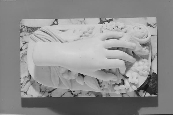 Lady's Hand and Flowers