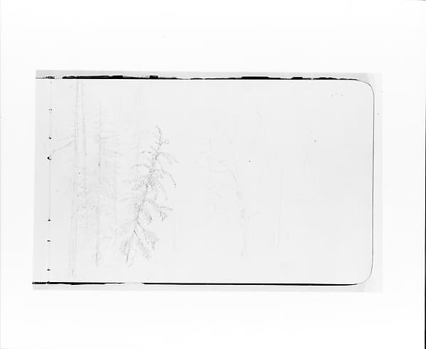 Tree Landscape (from Sketchbook), by Albert Bierstadt