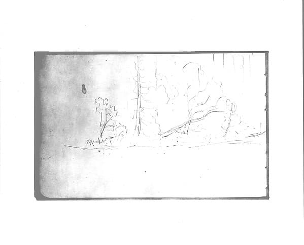 Trees (from Sketchbook), by Albert Bierstadt