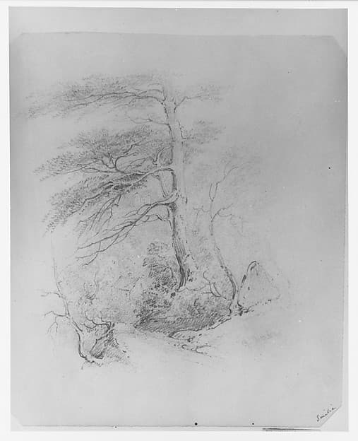 Landscape (from McGuire Scrapbook), by James Smillie