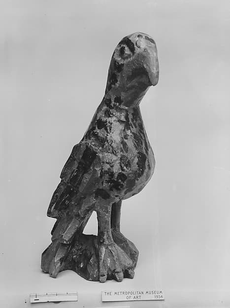 Parrot, by Wilhelm Schimmel