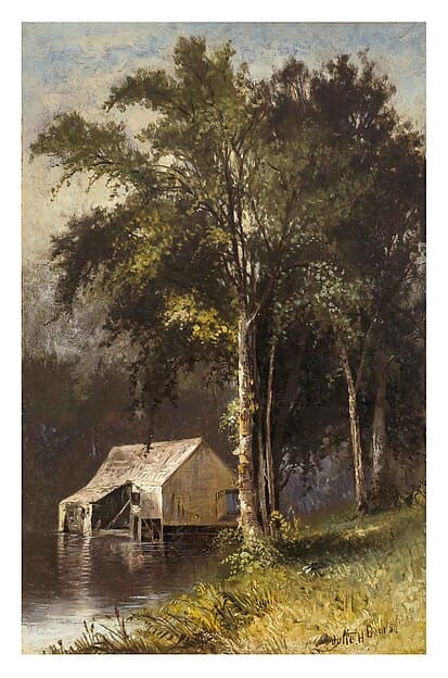 Summer Woodlands, by Julie Hart Beers