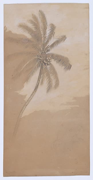 Palm Tree, by Elihu Vedder