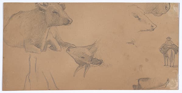 Sketches of a Donkey, a Cow, and a Man on Horseback, by Elihu Vedder
