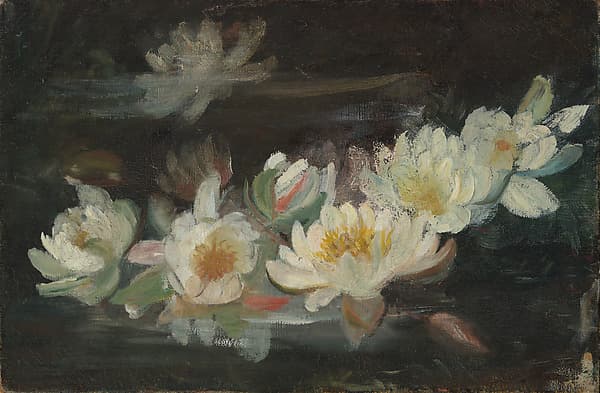 Water Lilies, by Helena de Kay