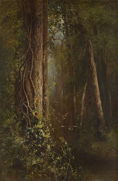 Ducks in the Woods, by Julie Hart Beers