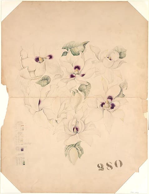 Design Drawing, by Tiffany & Co.