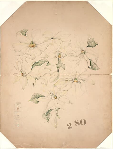 Drawing of Magnolia Vase with Enameling Notations (?), by Tiffany & Co.