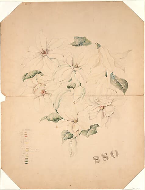 Design Drawing for Magnolia Vase, by Tiffany & Co.
