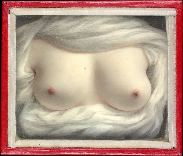 Beauty Revealed, by Sarah Goodridge