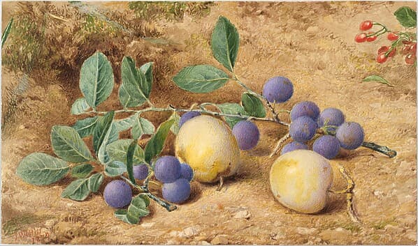 Plums, by John William Hill