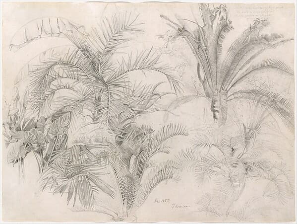 Palms, by William Trost Richards