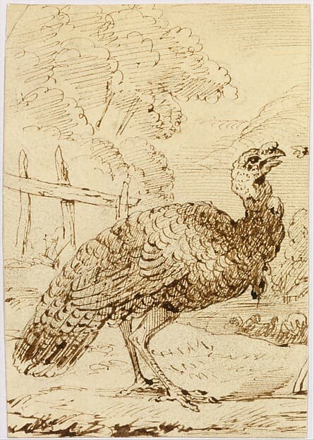 Turkey, by Benjamin West