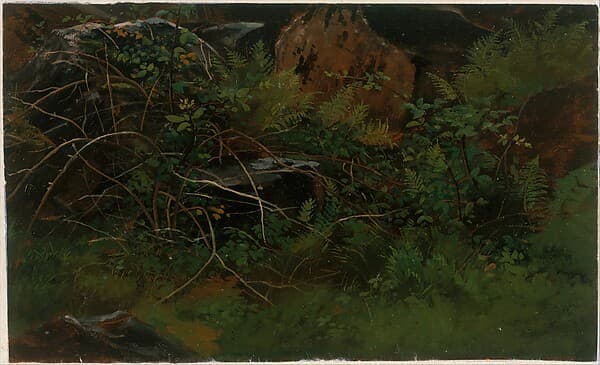 Study from Nature, by William Stanley Haseltine